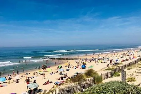 T2 Avec Grande Piscine Chauffée Lacanau